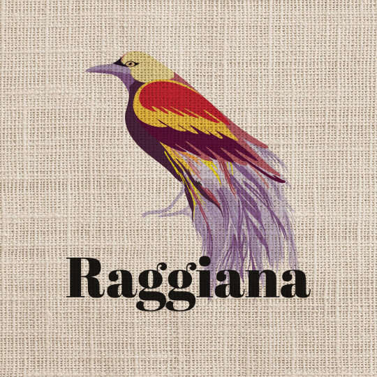Découvrez le café Raggiana de Papouasie chez Café 1988