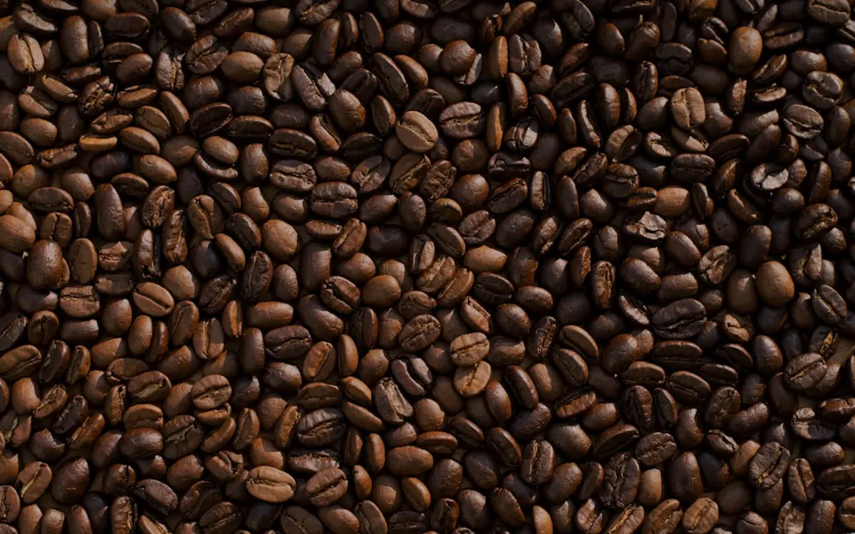 Quelle mouture pour quelle cafetière ? Le guide complet