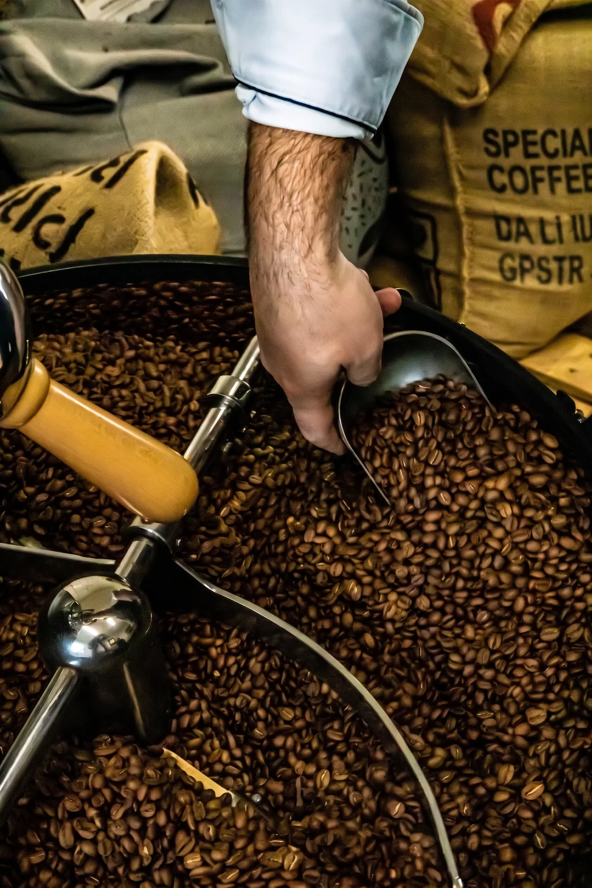 Brassage des cafés de spécialité, atelier de torréfaction artisanale Café 1988