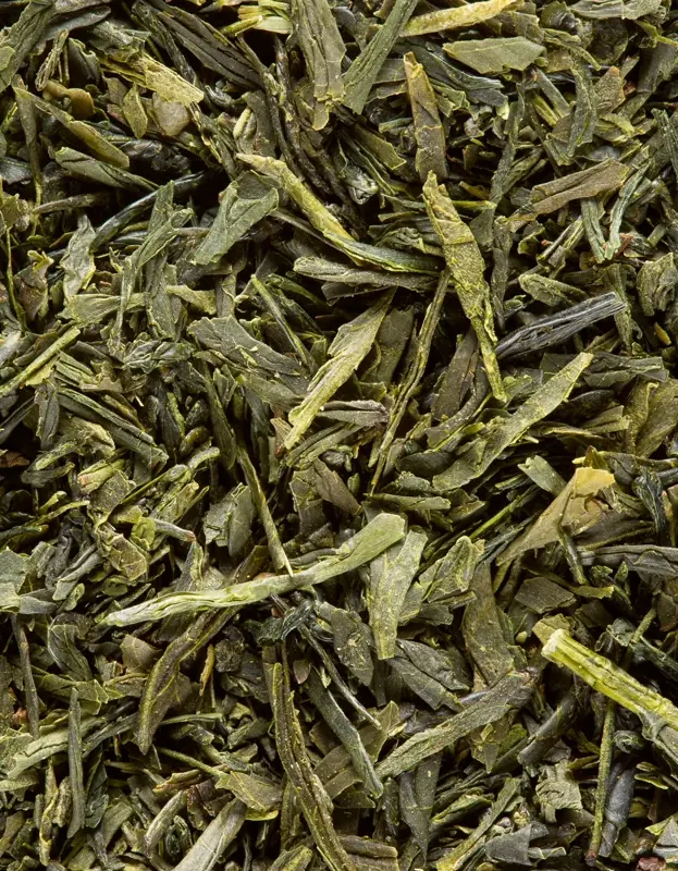 Sencha Fukuyu